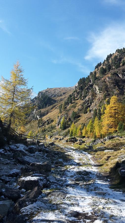 Adlerhof Διαμέρισμα Sankt Leonhard im Pitztal Εξωτερικό φωτογραφία